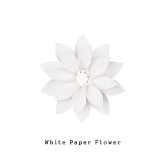 White paper flower, top view