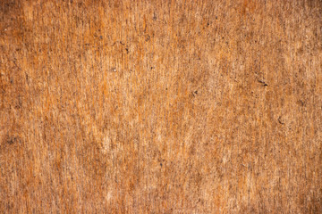 Rough wood close up texture