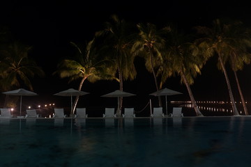 열대의 리조트 수영장