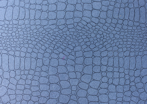  reptile skin  patterns