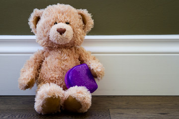 Teddy bear takes care of purple and sparkly retainer case; Teddy bear holds small plastic container