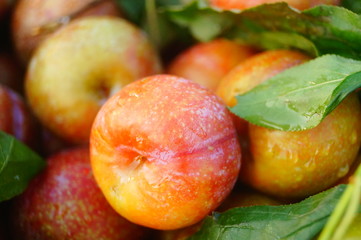 Fruit plums