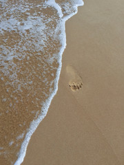 foot print on a sandy beach