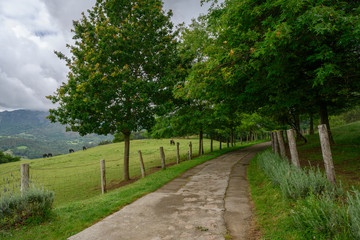 Fototapeta na wymiar Country Lane in Asturias
