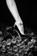 Female legs concept. Black shoes and black roses. Beautiful body of woman against petals of black...