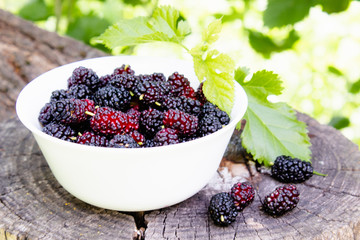 White bowl with delicious ripe juicy mulberry stands on the stump outdoors