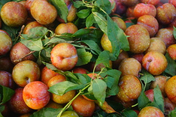 Fruit plums