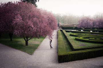 Spring in Prague