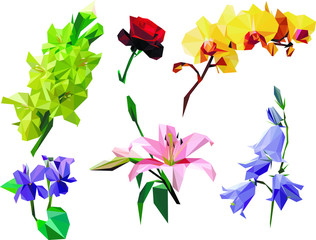 illustration flowers  vector illustration