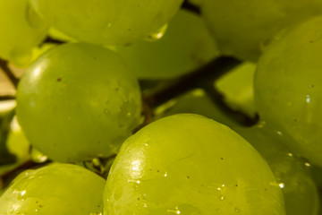 Grapes