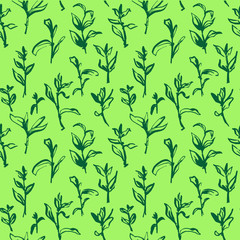 pattern grass vector illustration