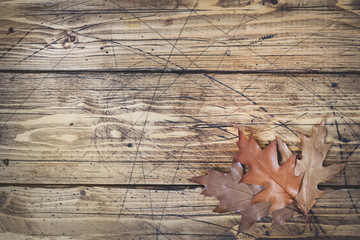 Autumn still life. Dry oak leaves on a wooden Board. Top view, vintage style. Copy space.