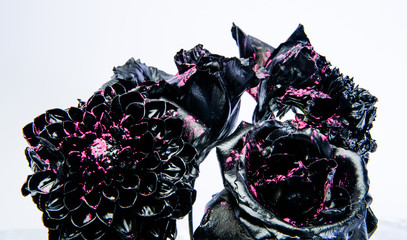 floristics business. Glamour. silver black chrysanthemum and rose flower. vintage & retro. wealth...