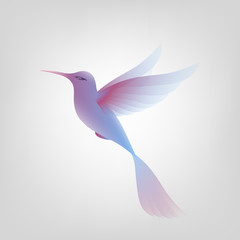 Beautiful Amazing exotic bird in flight. Isolated  object on white background for logo. Vector illustration.