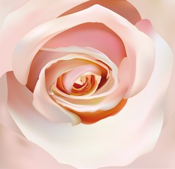 Beige rose close up. 3d realistic rose. Beautiful rose. Vector illustration