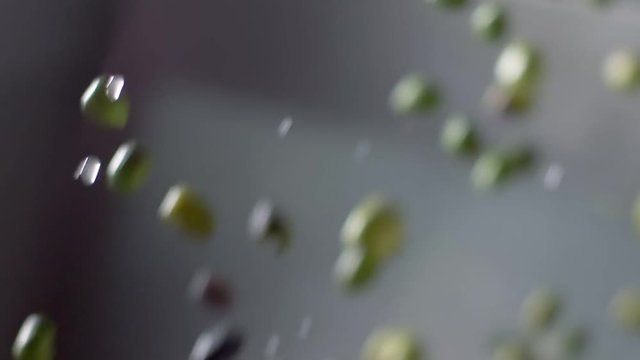 Olives falling. Olive oil production in South of Italy-slow motion