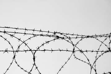Barbed wire on the sky in black and white