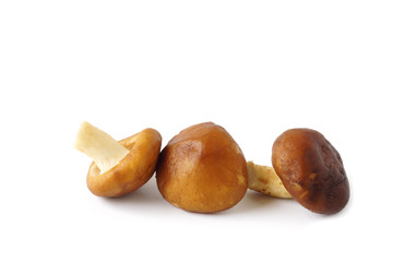 Fresh brown chestnut mushrooms vegetable isolated on white background