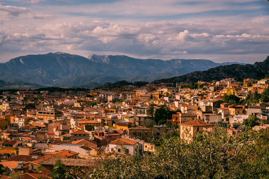 Dorsali Images – Browse 50 Stock Photos, Vectors, and Video | Adobe Stock