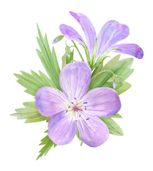 Botanical watercolor illustration of lilac geranium flowers isolated on white background. Perfect for web design, cosmetics design, package, textile, wedding invitation, logo