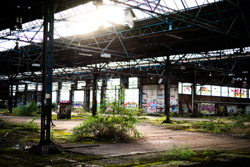 Lost Place, hall, old, broke, past, green, nature, sun, in the past