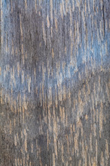 Naklejka premium Grayish Old Weathered Wood Texture