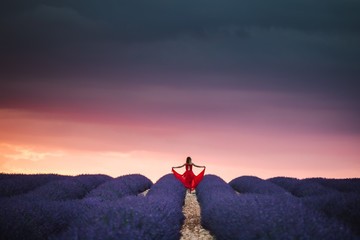 Lavender fields in Provence France ladnscape pretty hot summer