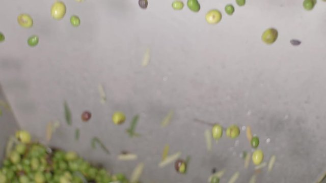 Olive Oil Mill in south of Italy. Olives falling in the crusher-slow motion