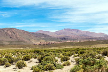 Fototapeta na wymiar Desert landscapes with mountains in Bolivia at the dry season, dry vegetation is a natural background