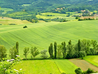 Obraz premium Background of beautiful landscape in green fields and blue sky at Umbria, Italy or little Toscane or Toscana. 