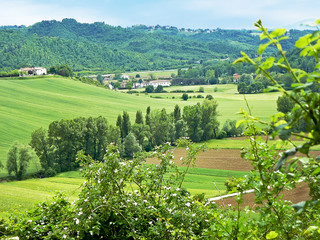 Background of beautiful landscape in green fields and blue sky at Umbria, Italy or little Toscane...