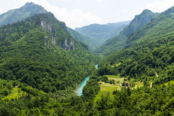 Mountains and Tara river canyon in Durmitor, Montenegro - obrazy, fototapety, plakaty