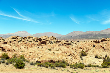Desert landscapes with mountains in Bolivia at the dry season, dry vegetation is a natural background