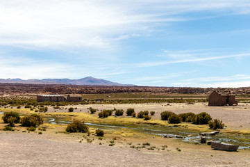 Desert landscapes with mountains in Bolivia at the dry season, dry vegetation is a natural background