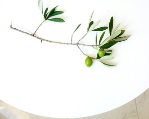 Olive branch on white background.