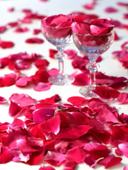Two glasses filled with rose petals with engagement sapphire ring inside pink petals on white table, egagement scene