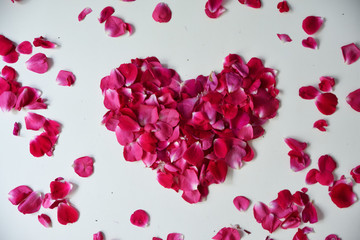 Heart of pink rose petals on white background