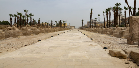 Avenue of Sphinxes in Luxor Temple, Luxor, Egypt