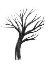 albero acquerello su sfondo bianco