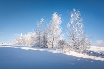 Tatra Mountain in winter, landscape wiht wiev of Tatra Poland Pieniny zakopane