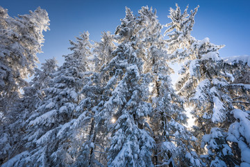 Tatra Mountain in winter, landscape wiht wiev of Tatra Poland Pieniny zakopane