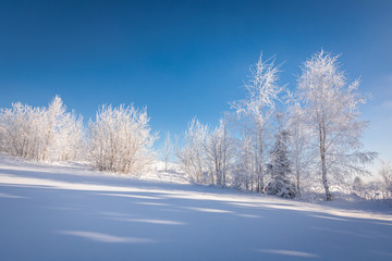 Tatra Mountain in winter, landscape wiht wiev of Tatra Poland Pieniny zakopane
