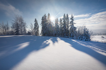 Tatra Mountain in winter, landscape wiht wiev of Tatra Poland Pieniny zakopane