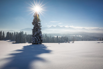 Tatra Mountain in winter, landscape wiht wiev of Tatra Poland Pieniny zakopane