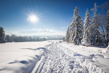 Tatra Mountain in winter, landscape wiht wiev of Tatra Poland Pieniny zakopane