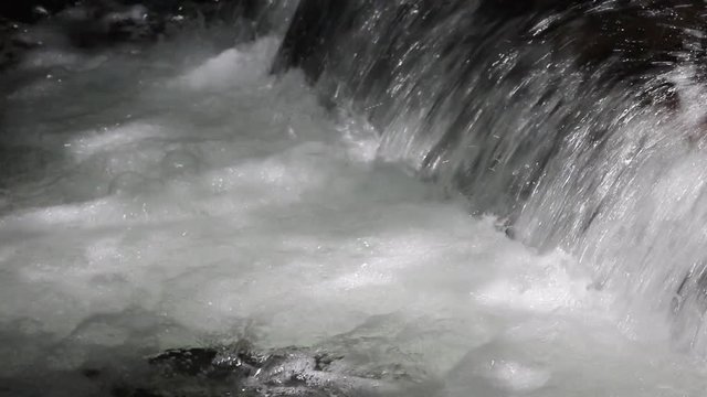 Closeup of Sockeye (Red) Salmon jumping up the waterfall of the fish weir at Bear Creek near Seward Alaska; the fish weir is used to manage salmon population in the Cook Inlet region