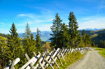 Hiking at mount Rigi