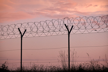 Section of a chainlink fence with razor wire and grass in front of a sunset - obrazy, fototapety, plakaty