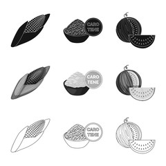 Vector illustration of test and synthetic symbol. Collection of test and laboratory stock symbol for web.