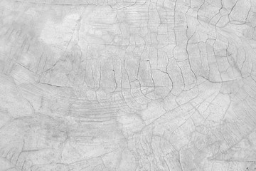 Modern bright with black and white distress concrete texture of architecture building structure for background with vintage tone.